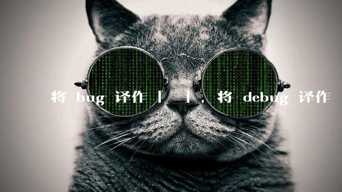 将 bug 译作「蚆蛒」，将 debug 译作「揥蚆蛒」，音译兼意译，是不是很巧妙？