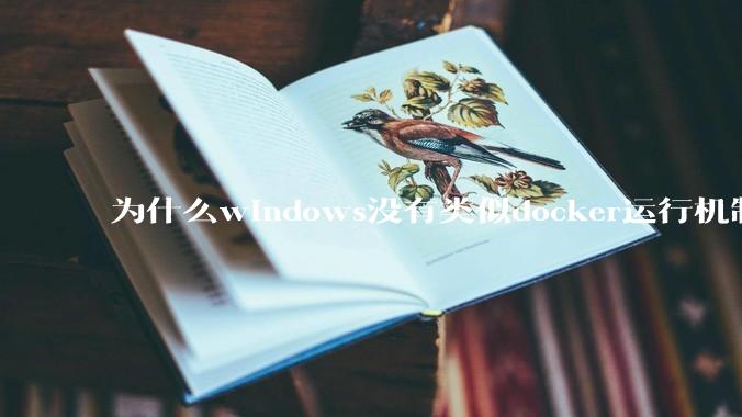 为什么windows没有类似docker运行机制？