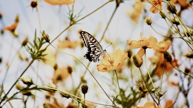 为什么有些人身材容易长肌肉，而有些人却很难呢？